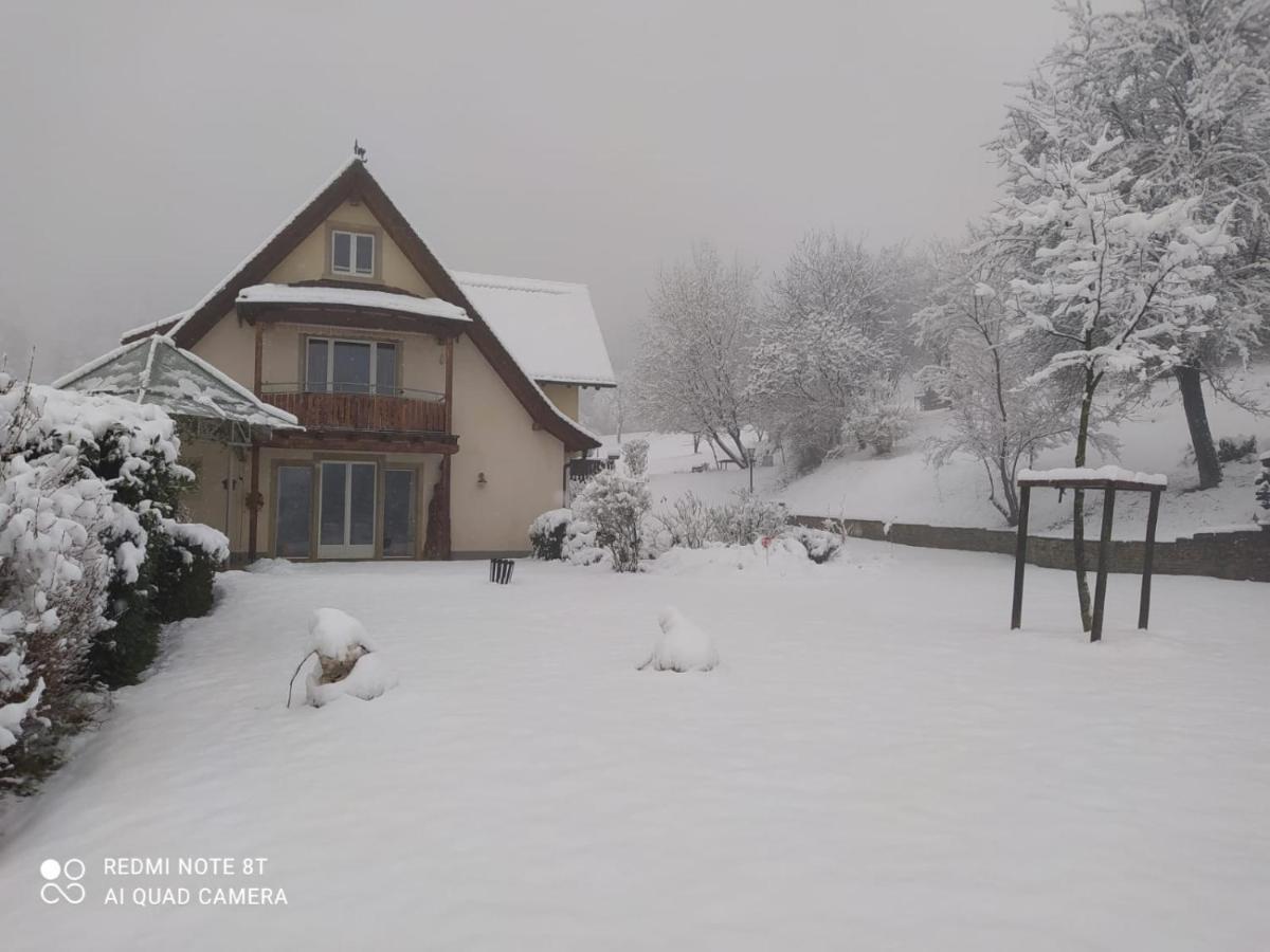 Paradies 1 Ballrechten-Dottingen Ngoại thất bức ảnh